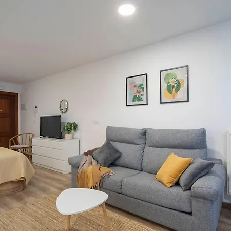 Lindo Estudio En El Centro By Apartment Vigo